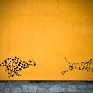 Dots Chasing